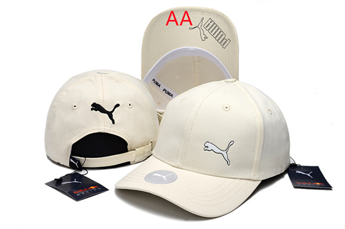 Other Snapbacks(AA)-0015