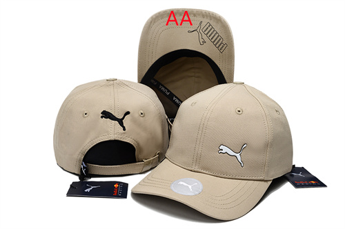 Other Snapbacks(AA)-0016