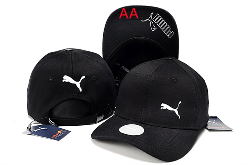 Other Snapbacks(AA)-0017