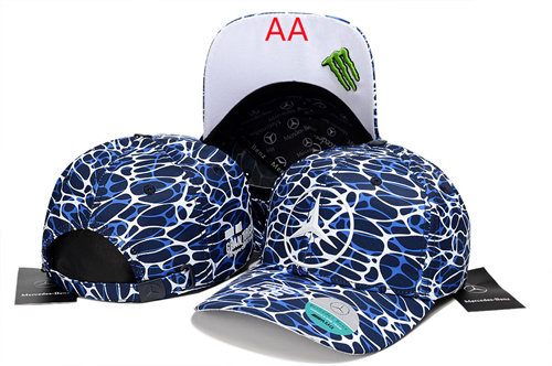Other Snapbacks(AA)-0071