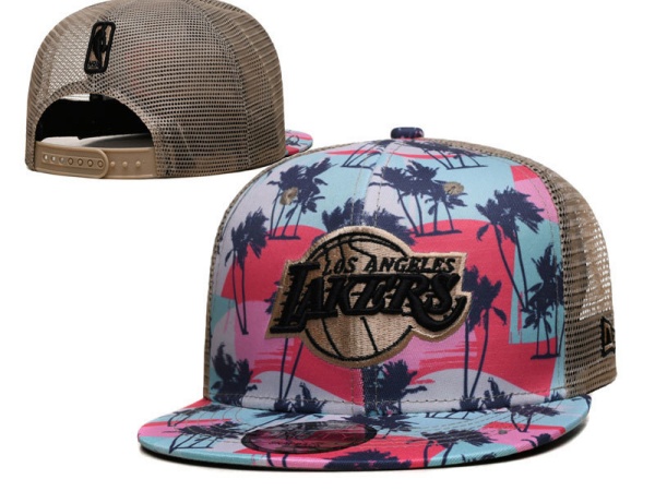 NBA Snapbacks(4)-0083