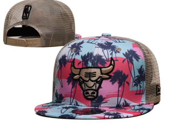 NBA Snapbacks(4)-0088