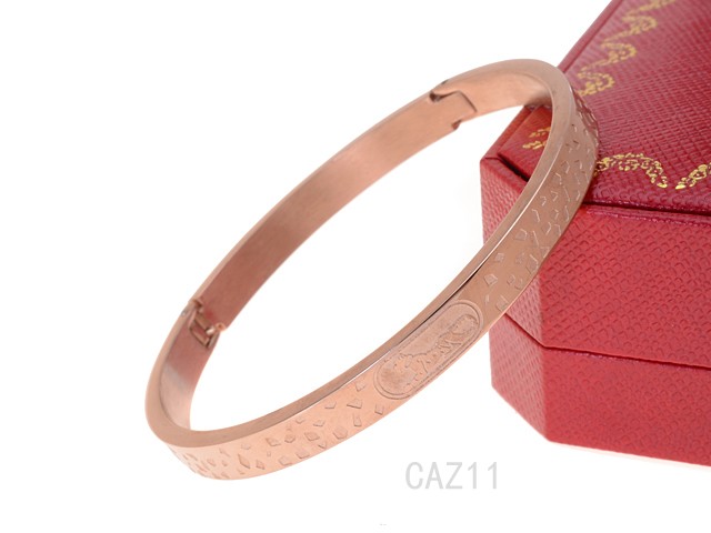 Cartier Bangle-011
