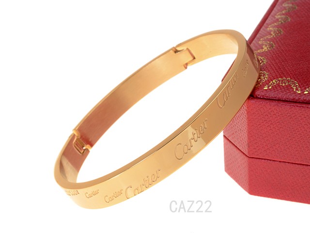 Cartier Bangle-022