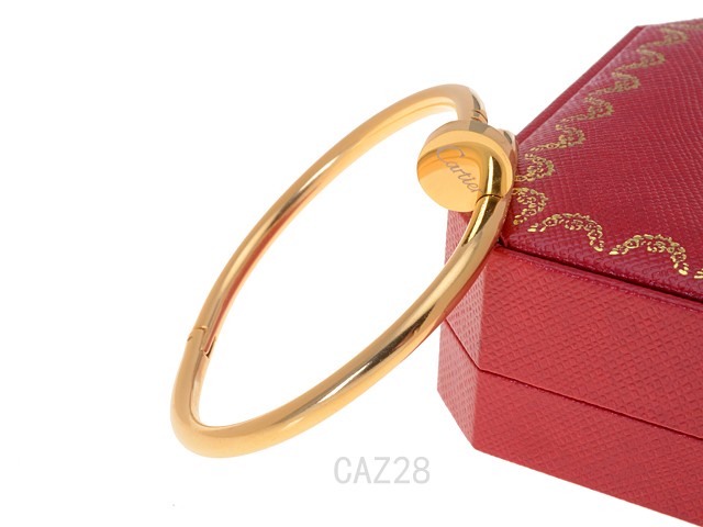 Cartier Bangle-028