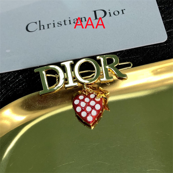 Dior Hairpin-004