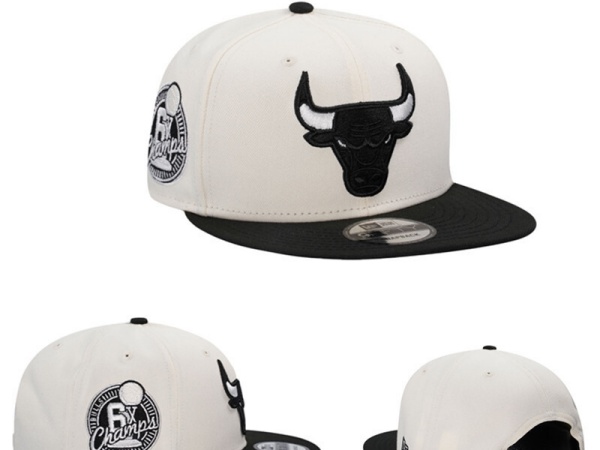 NBA Snapbacks(3)-0144
