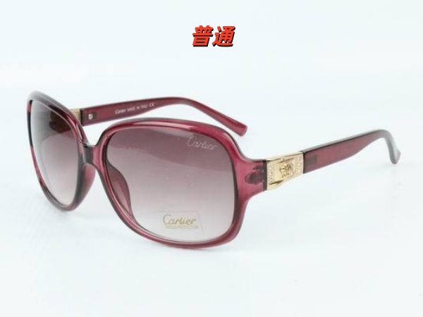 Cartier Sunglass-0058
