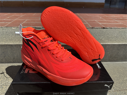 Puma Basketball shoes-0095