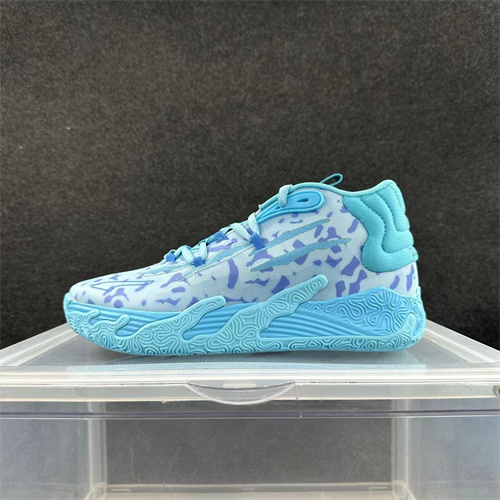 Puma Basketball shoes-0102