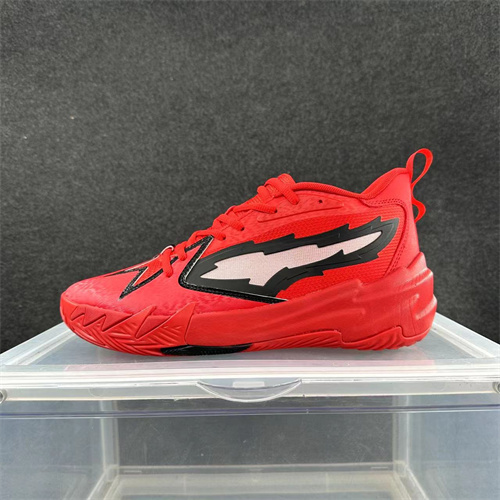 Puma Basketball shoes-0129