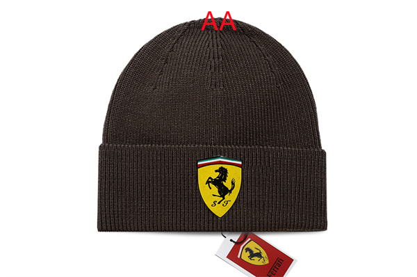 Beanies(AA)-0191