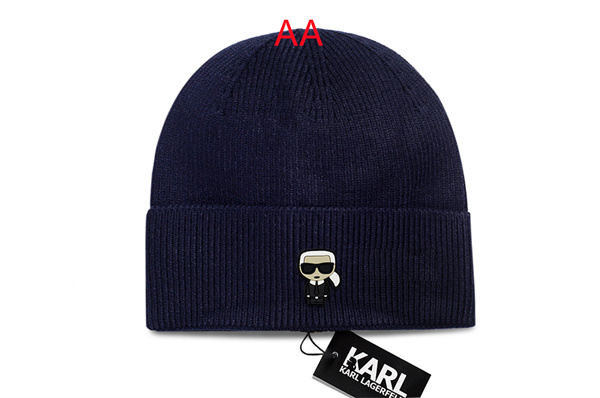 Beanies(AA)-0067
