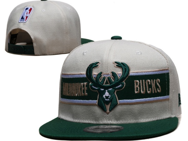NBA Snapbacks(2)-0112