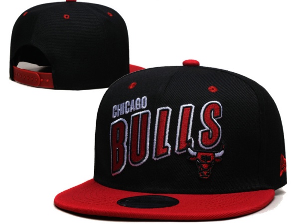 NBA Snapbacks(2)-0027