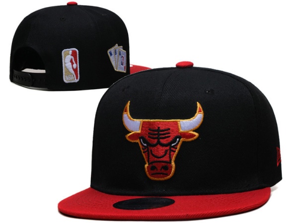 NBA Snapbacks(2)-0030