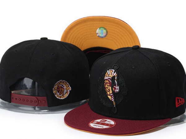 NBA Snapbacks(2)-0083