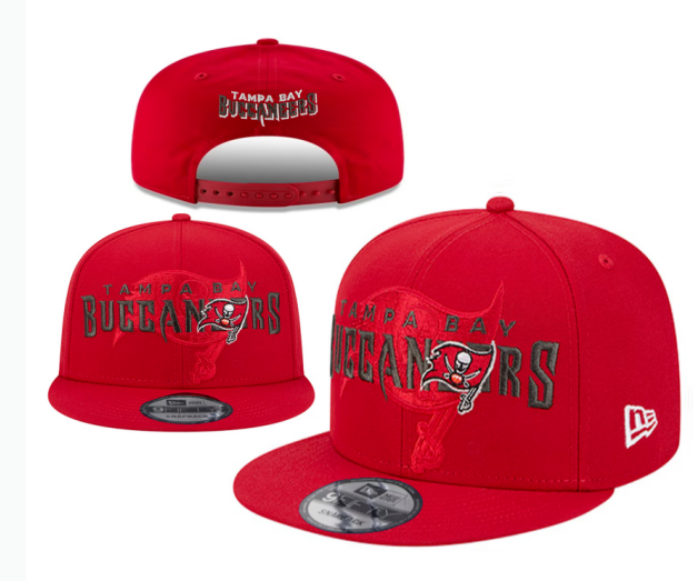 NFL Snapbacks(2)-0157