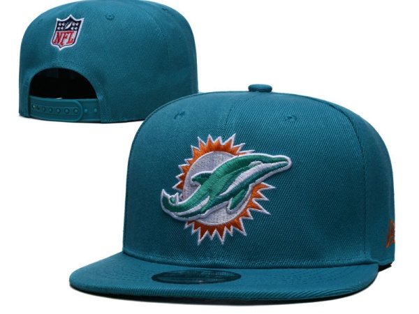 NFL Snapbacks(2)-0196
