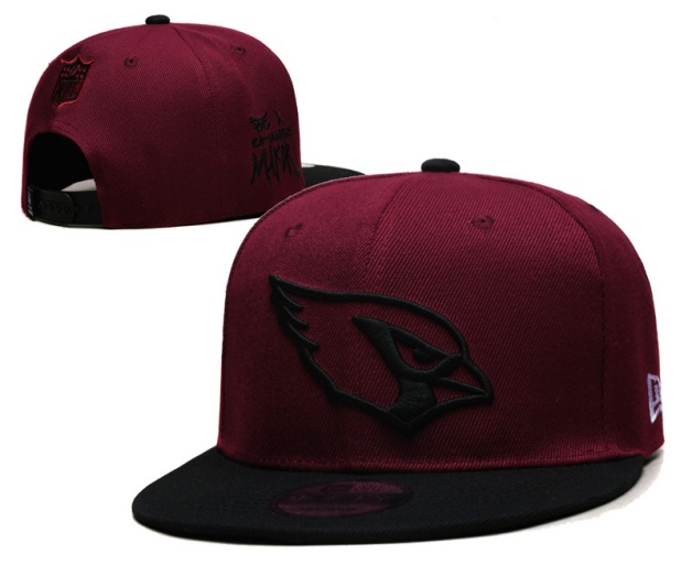 NFL Snapbacks(2)-0228