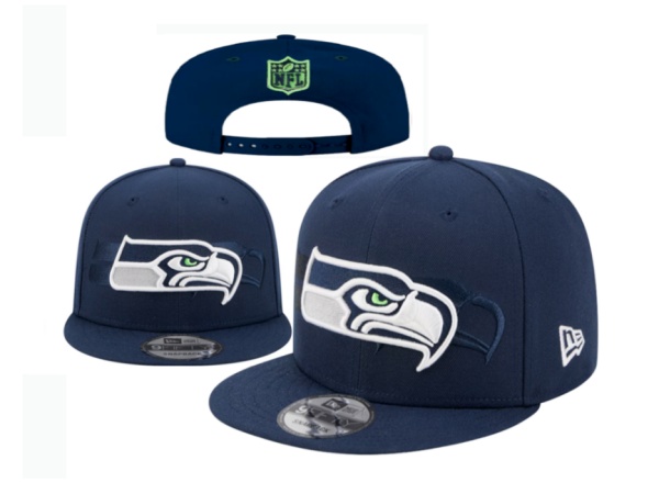 NFL Snapbacks(2)-0228