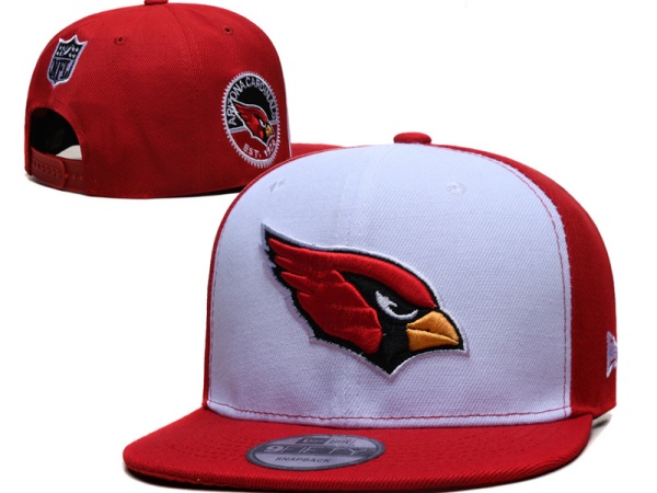 NFL Snapbacks(2)-0251