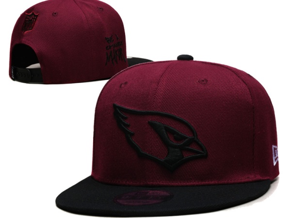 NFL Snapbacks(2)-0254