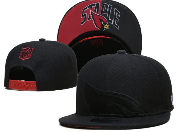 NFL Snapbacks(2)-0255