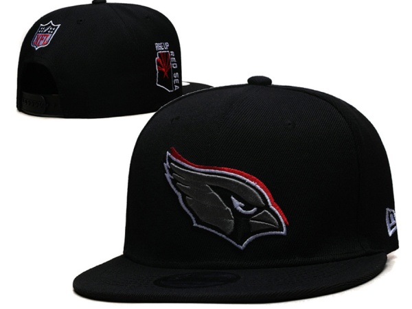 NFL Snapbacks(2)-0259