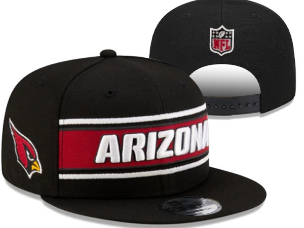 NFL Snapbacks(2)-0261