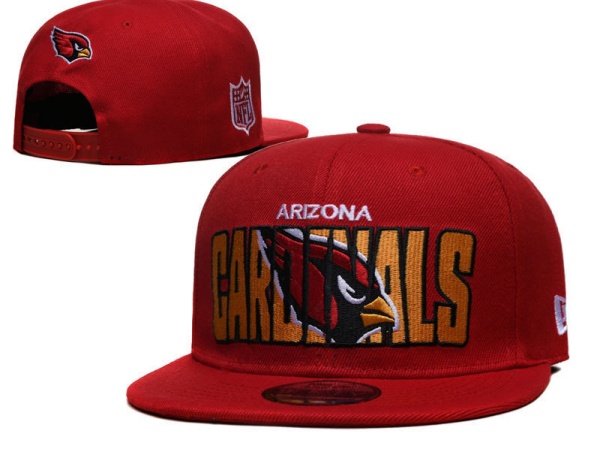 NFL Snapbacks(2)-0266