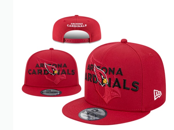 NFL Snapbacks(2)-0267