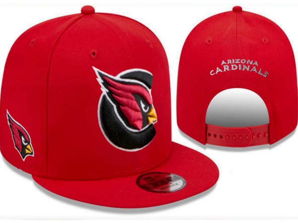 NFL Snapbacks(2)-0269