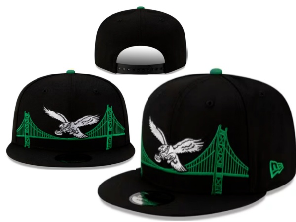 NFL Snapbacks(2)-0270