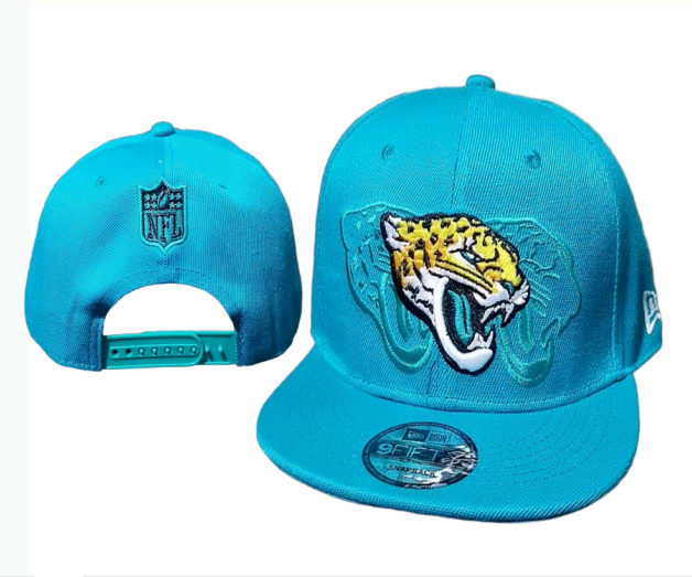 NFL Snapbacks(2)-0281