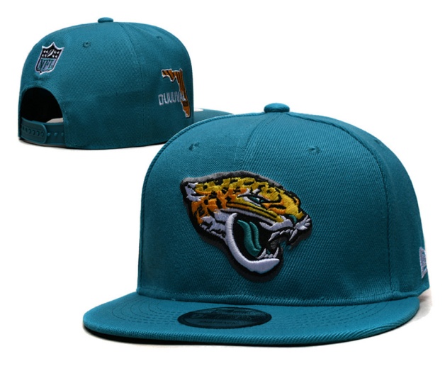 NFL Snapbacks(2)-0285