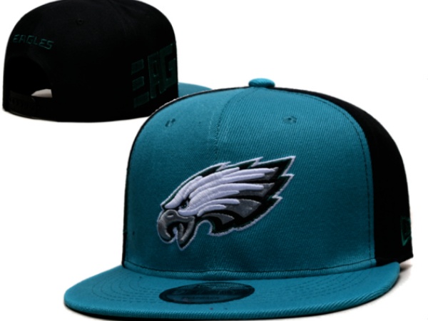 NFL Snapbacks(2)-0285
