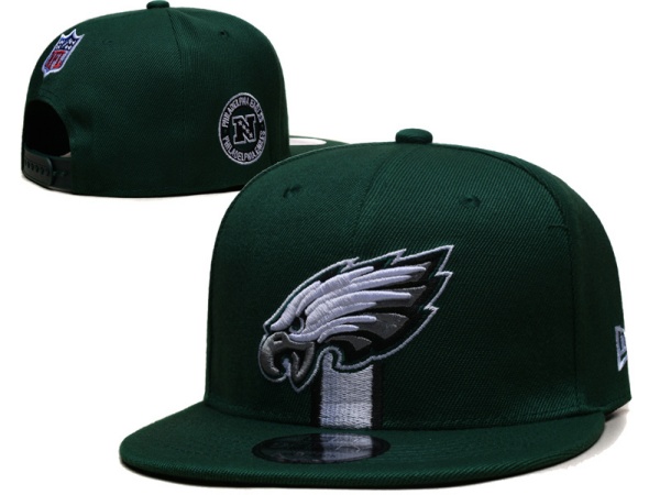 NFL Snapbacks(2)-0288