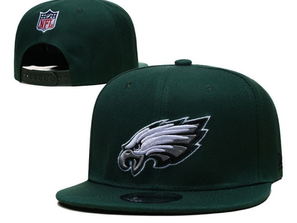 NFL Snapbacks(2)-0287