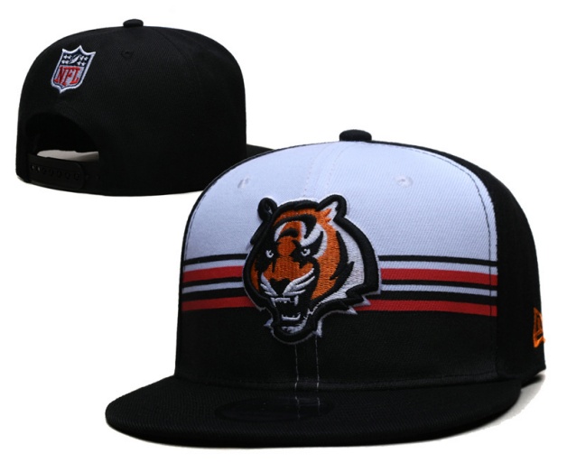 NFL Snapbacks(2)-0289