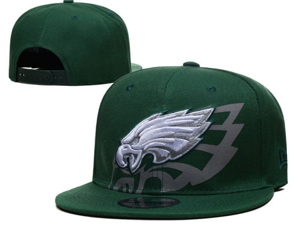 NFL Snapbacks(2)-0298