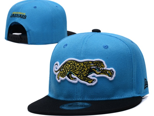NFL Snapbacks(2)-0316