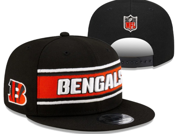 NFL Snapbacks(2)-0331