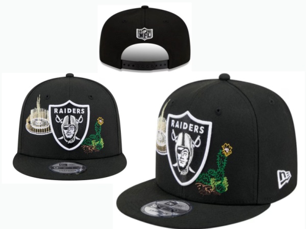 NFL Snapbacks(2)-0474