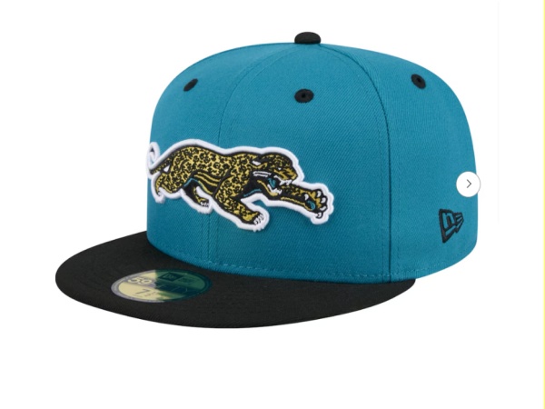 NFL Snapbacks(2)-0531