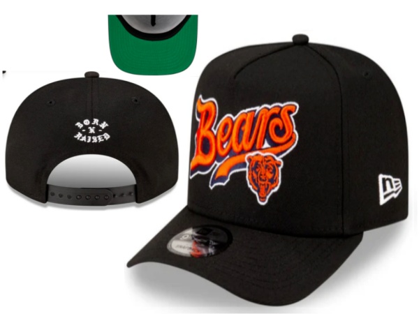 NFL Snapbacks(2)-0545