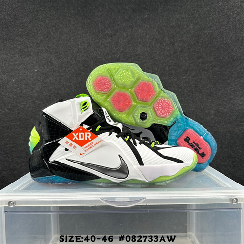 Lebron James 12-M-010