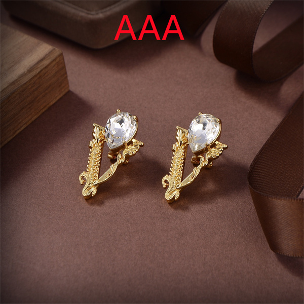 Versace Earrings-028