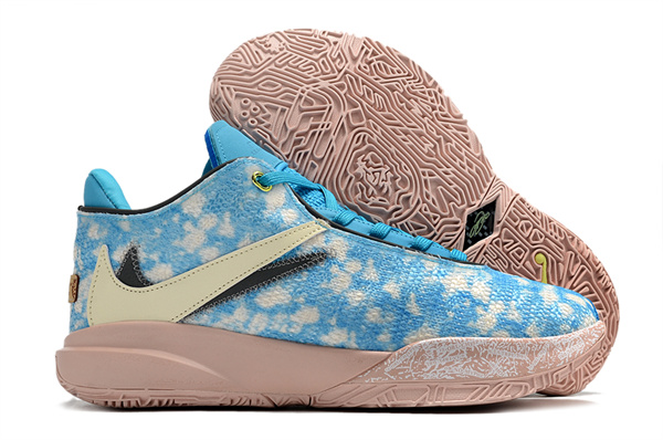 Lebron James 20-M-0014