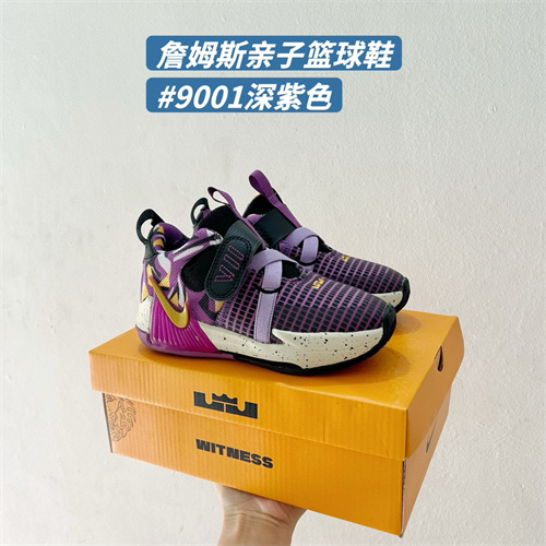 Lebron James(Kids)Shoes-0007